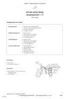 Vorschau - Stundenentwürfe - »Ich bin schon fertig« - Zusatzaufgaben mit Lösungen für »schnelle« Schüler(innen) - Folge 1: Herbst - Seite 2