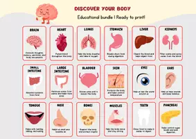 Vista previa - Juegos / Gamificación - Libro y pack de actividades y juegos montessori para aprender vocabulario de las partes del cuerpo en Inglés - página 2