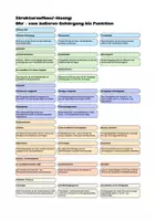 Vorschau - Arbeitsblätter - beGREIFbar! Das Ohr – Aufbau & Funktion | haptisches Struktur-Lege-Set | Biologie Pflege Medizin - Seite 2