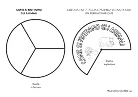 anteprima - Esercizi - Il Regno Animale: Lapbook (Vertebrati e Invertebrati) - Pagina 2