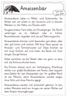 Vorschau - Arbeitsblätter - Leseübungen zum sinnentnehmenden Lesen: Texte zu Themen des Sachunterrichts (Materialpaket) - Seite 2