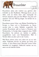 Vorschau - Arbeitsblätter - Leseübungen zum sinnentnehmenden Lesen: Texte zu Themen des Sachunterrichts (Materialpaket) - Seite 3