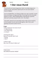 Vorschau - Unterrichtsreihen - Leseverständnis Klasse 3 – Haustiere | 10 Lesetexte - Seite 3