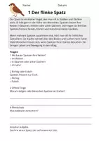 Vorschau - Stundenentwürfe - Lesetraining Vögel | Leseverständnis Klasse 3 - Seite 3