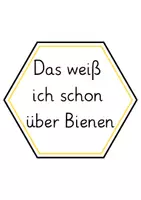 Vorschau - Poster - Wandmaterial advanced organizer die Biene Sachunterricht - Seite 3