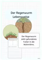 Vorschau - Arbeitsblätter - REGENWURM - Lebensweise und Lebenszyklus des Regenwurms - Deckblatt
