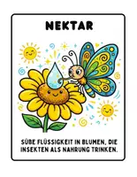 Vorschau - Fördermaterial/Inklusion - Wortschatzkarten Pollen & Bestäuber | Sachunterricht Poster Grundschule | PDF & PPTX - Seite 3