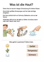 Vorschau - Stationenlernen - Die Haut‑Experten: Unser größtes Sinnesorgan verstehen · Arbeitsheft + Experimente · Klasse 3–4 - Seite 1