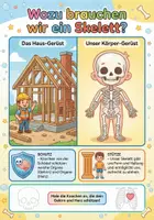 Vorschau - Unterrichtsreihen - MEGA-BUNDLE: Mein Körper & Gesundheit – 7 Wissenspakete (Arbeitshefte, Experimente & Quiz) - Seite 2