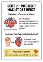 Vorschau - Lehrwerke/Schulbücher - Unser Herz & Blutkreislauf Arbeitsheft mit Puls‑Experiment & Urkunde · Klasse 3–4 - Seite 1