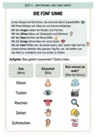 Vorschau - Arbeitsblätter - Die 5 Sinne: Das große 5-in-1 Wissenspaket (Arbeitsheft, Experimente & Urkunde) - Seite 1