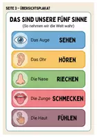 Vorschau - Arbeitsblätter - Die 5 Sinne: Das große 5-in-1 Wissenspaket (Arbeitsheft, Experimente & Urkunde) - Seite 2