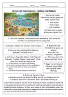 Vorschau - Stundenentwürfe - Wimmelbild: Sommer am Badesee - DEUTSCH FÜR ZWISCHENDURCH - Kreatives Schreiben - Rechtschreibung - Satzglieder - Seite 2