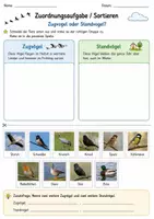 Vorschau - Arbeitsblätter - Zugvögel zuordnen & Memoryspiel Klasse 3/4 – Lernspiel Sachunterricht - Seite 1