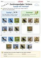 Vorschau - Arbeitsblätter - Zugvögel zuordnen & Memoryspiel Klasse 3/4 – Lernspiel Sachunterricht - Seite 2