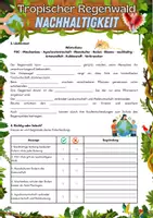 Vorschau - Arbeitsblätter - Tropischer Regenwald - Nachhaltigkeit - Seite 2