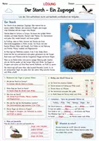 Vorschau - Arbeitsblätter - Sachtext Storch Klasse 3/4 – Fragen & Steckbrief - Seite 2