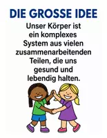Vorschau - Arbeitsblätter - Der menschliche Körper – Lernposter für die Grundschule | Körpersysteme, Organe & Sachunterricht Klasse 1–3 - Seite 3