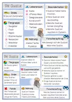 Vorschau - Unterrichtsreihen - Meerestiere – Qualle | Kartei & Forscherheft Kl. 1/2 - Seite 3