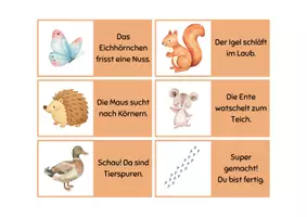Vorschau - Spiele - Lesespiel Wiesentiere/Haustiere/Waldtiere mit Lösungen - Seite 2