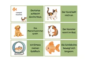 Vorschau - Spiele - Lesespiel Wiesentiere/Haustiere/Waldtiere mit Lösungen - Seite 3
