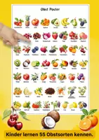 Vorschau - Poster - Obstsorten Poster für Kinder – 55 Früchte auf einen Blick | Sprachförderung & Sachunterricht - Seite 2