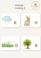 Vorschau - Fördermaterial/Inklusion - Freebie: 16 Anlautkärtchen zum Thema Frühling 🌷 - Seite 2
