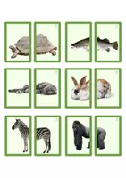 Vista previa - Unidades / Secuencias / Situaciones de Aprendizaje - MINI PUZZLES ANIMALES - página 2