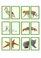 Vista previa - Unidades / Secuencias / Situaciones de Aprendizaje - MINI PUZZLES ANIMALES - página 3
