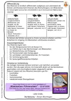 Vorschau - Arbeitsblätter - Bibelrennen - Bibelstellen finden und aufschlagen - Seite 2