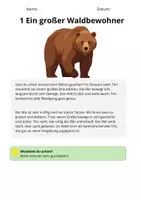 Vorschau - Stundenentwürfe - Sachtexte Klasse 3 – Tiere Materialpaket (10 Materialien) | Lesetexte mit Fragen & Lösungen - Seite 3