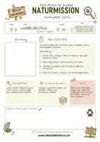 Vorschau - Arbeitsblätter - Waldeidechse – kostenloses Materialpaket für Sachunterricht & Naturbildung | Bella Wildherz - Seite 3