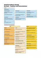 Vorschau - Spiele - beGREIFbar! Die Haut – Schichten & Funktionen | haptisches Struktur-Lege-Set | Biologie Pflege Medizin - Seite 2