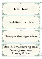 Vorschau - Spiele - beGREIFbar! Die Haut – Schichten & Funktionen | haptisches Struktur-Lege-Set | Biologie Pflege Medizin - Seite 3