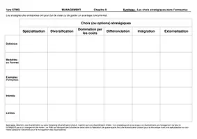Aperçu - Feuilles d'exercices - MGT Th 3 Ch8 Options stratégique SYNTHESE - Page 1
