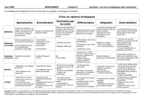 Aperçu - Feuilles d'exercices - MGT Th 3 Ch8 Options stratégique SYNTHESE - Page 2