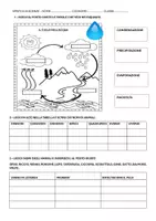 anteprima - Esercizi - VERIFICA DI SCIENZE E TECNOLOGIA 2 QUADRIMESTRE - Pagina di copertina