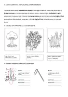 anteprima - Esercizi - VERIFICA DI SCIENZE E TECNOLOGIA 2 QUADRIMESTRE - Pagina 2