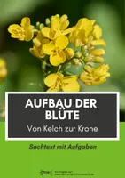 Vorschau - Arbeitsblätter - Sparpaket Botanik und Pflanzen - Seite 1