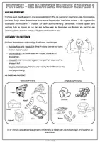 Vorschau - Arbeitsblätter - Protein Eiweiß – Die Bausteine des Lebens | Arbeitsblätter für Ernährung und Haushalt / Hauswirtschaft (Klasse 5-8) #ostereiersuche - Seite 1