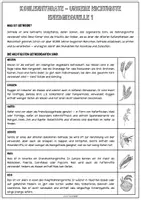 Vorschau - Arbeitsblätter - Kohlenhydrate einfach erklärt – Lesetext, Arbeitsblätter & Lösungen (Sekundarstufe 5–8) / Hauswirtschaft / Ernährung - Seite 1