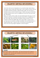 Vorschau - Arbeitsblätter - Der Werkstoff Holz Lerntheke Klasse 3 Klasse 4 - Seite 3