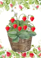 Aperçu - Fiches - Livret La fraise 🍓 - Page 2