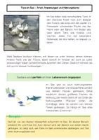 Vorschau - Arbeitsblätter - Tiere im See: Zonen & Ökosystem - Seite 2