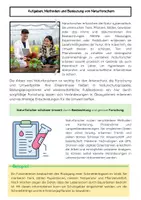 Vorschau - Arbeitsblätter - Naturforscher Materialpaket: Aufgaben, Methoden, Werkzeuge, Experimente & Mikroskop - Seite 3