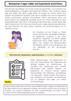 Vorschau - Arbeitsblätter - Aufgaben von Naturforschern: Experimente & Beobachtung - Seite 1