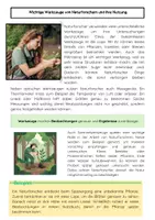 Vorschau - Arbeitsblätter - Werkzeuge von Naturforschern: Beobachtung, Mikroskop, Lupe - Seite 2