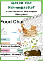 Vorschau - Arbeitsblätter - Nahrungskette einfach erklärt: Produzenten, Pflanzenfresser & Fleischfresser - Deckblatt
