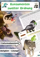 Vorschau - Arbeitsblätter - Konsumenten zweiter Ordnung Nahrungskette Ökosystem - Deckblatt