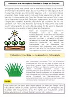 Vorschau - Arbeitsblätter - Trophiestufen Nahrungskette: Produzenten, Primärkonsumenten, Sekundärkonsumenten - Seite 2